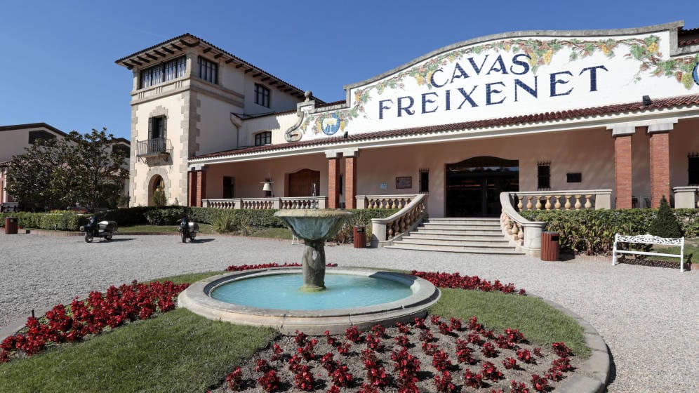 Freixenet сегодня